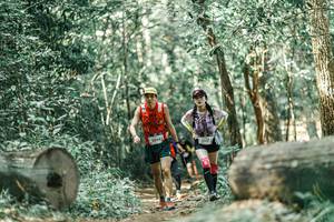 BIB: 
                            <button type="button" onclick="openModal(26022613)" class="btn btn-primary btn-sm float-right btn-popup" data-toggle="modal" data-target=".modal-high-quality">
                        <i class="fas fa-shopping-cart"></i> Add to Cart
                    </button>
                                            <button type="button" onclick="isThisMe(26022613, true)" class="btn btn-success btn-sm float-right btn-popup btn-isme hidden" data-toggle="tooltip" data-placement="bottom" title="นี่คือรูปของคุณใช่ไหม คลิกที่นี่เพื่อเอาเข้าอัลบั้ม">
                        <i class="fas fa-plus"></i> Add to album
                    </button>
                    <button type="button" onclick="isThisMe(26022613, false)" class="btn btn-warning btn-sm float-right btn-popup btn-isnotme hidden">
                        <i class="fas fa-ban"></i> Remove from album
                    </button>