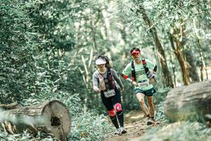 BIB: 
                            <button type="button" onclick="openModal(26022518)" class="btn btn-primary btn-sm float-right btn-popup" data-toggle="modal" data-target=".modal-high-quality">
                        <i class="fas fa-shopping-cart"></i> Add to Cart
                    </button>
                                            <button type="button" onclick="isThisMe(26022518, true)" class="btn btn-success btn-sm float-right btn-popup btn-isme hidden" data-toggle="tooltip" data-placement="bottom" title="นี่คือรูปของคุณใช่ไหม คลิกที่นี่เพื่อเอาเข้าอัลบั้ม">
                        <i class="fas fa-plus"></i> Add to album
                    </button>
                    <button type="button" onclick="isThisMe(26022518, false)" class="btn btn-warning btn-sm float-right btn-popup btn-isnotme hidden">
                        <i class="fas fa-ban"></i> Remove from album
                    </button>