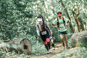 BIB: 
                            <button type="button" onclick="openModal(26022526)" class="btn btn-primary btn-sm float-right btn-popup" data-toggle="modal" data-target=".modal-high-quality">
                        <i class="fas fa-shopping-cart"></i> Add to Cart
                    </button>
                                            <button type="button" onclick="isThisMe(26022526, true)" class="btn btn-success btn-sm float-right btn-popup btn-isme hidden" data-toggle="tooltip" data-placement="bottom" title="นี่คือรูปของคุณใช่ไหม คลิกที่นี่เพื่อเอาเข้าอัลบั้ม">
                        <i class="fas fa-plus"></i> Add to album
                    </button>
                    <button type="button" onclick="isThisMe(26022526, false)" class="btn btn-warning btn-sm float-right btn-popup btn-isnotme hidden">
                        <i class="fas fa-ban"></i> Remove from album
                    </button>