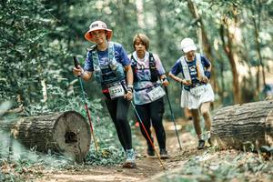 BIB: 
                            <button type="button" onclick="openModal(26019964)" class="btn btn-primary btn-sm float-right btn-popup" data-toggle="modal" data-target=".modal-high-quality">
                        <i class="fas fa-shopping-cart"></i> Add to Cart
                    </button>
                                            <button type="button" onclick="isThisMe(26019964, true)" class="btn btn-success btn-sm float-right btn-popup btn-isme hidden" data-toggle="tooltip" data-placement="bottom" title="นี่คือรูปของคุณใช่ไหม คลิกที่นี่เพื่อเอาเข้าอัลบั้ม">
                        <i class="fas fa-plus"></i> Add to album
                    </button>
                    <button type="button" onclick="isThisMe(26019964, false)" class="btn btn-warning btn-sm float-right btn-popup btn-isnotme hidden">
                        <i class="fas fa-ban"></i> Remove from album
                    </button>