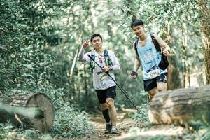 BIB: 
                            <button type="button" onclick="openModal(26023091)" class="btn btn-primary btn-sm float-right btn-popup" data-toggle="modal" data-target=".modal-high-quality">
                        <i class="fas fa-shopping-cart"></i> Add to Cart
                    </button>
                                            <button type="button" onclick="isThisMe(26023091, true)" class="btn btn-success btn-sm float-right btn-popup btn-isme hidden" data-toggle="tooltip" data-placement="bottom" title="นี่คือรูปของคุณใช่ไหม คลิกที่นี่เพื่อเอาเข้าอัลบั้ม">
                        <i class="fas fa-plus"></i> Add to album
                    </button>
                    <button type="button" onclick="isThisMe(26023091, false)" class="btn btn-warning btn-sm float-right btn-popup btn-isnotme hidden">
                        <i class="fas fa-ban"></i> Remove from album
                    </button>