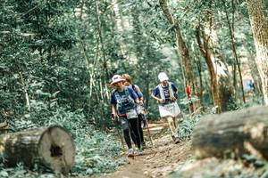 BIB: 
                            <button type="button" onclick="openModal(26019959)" class="btn btn-primary btn-sm float-right btn-popup" data-toggle="modal" data-target=".modal-high-quality">
                        <i class="fas fa-shopping-cart"></i> Add to Cart
                    </button>
                                            <button type="button" onclick="isThisMe(26019959, true)" class="btn btn-success btn-sm float-right btn-popup btn-isme hidden" data-toggle="tooltip" data-placement="bottom" title="นี่คือรูปของคุณใช่ไหม คลิกที่นี่เพื่อเอาเข้าอัลบั้ม">
                        <i class="fas fa-plus"></i> Add to album
                    </button>
                    <button type="button" onclick="isThisMe(26019959, false)" class="btn btn-warning btn-sm float-right btn-popup btn-isnotme hidden">
                        <i class="fas fa-ban"></i> Remove from album
                    </button>