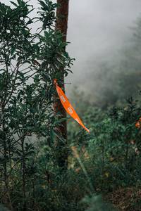 BIB: 
                            <button type="button" onclick="openModal(25893040)" class="btn btn-primary btn-sm float-right btn-popup" data-toggle="modal" data-target=".modal-high-quality">
                        <i class="fas fa-shopping-cart"></i> Add to Cart
                    </button>
                                            <button type="button" onclick="isThisMe(25893040, true)" class="btn btn-success btn-sm float-right btn-popup btn-isme hidden" data-toggle="tooltip" data-placement="bottom" title="นี่คือรูปของคุณใช่ไหม คลิกที่นี่เพื่อเอาเข้าอัลบั้ม">
                        <i class="fas fa-plus"></i> Add to album
                    </button>
                    <button type="button" onclick="isThisMe(25893040, false)" class="btn btn-warning btn-sm float-right btn-popup btn-isnotme hidden">
                        <i class="fas fa-ban"></i> Remove from album
                    </button>