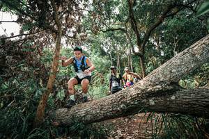 BIB: 
                            <button type="button" onclick="openModal(25533461)" class="btn btn-primary btn-sm float-right btn-popup" data-toggle="modal" data-target=".modal-high-quality">
                        <i class="fas fa-shopping-cart"></i> Add to Cart
                    </button>
                                            <button type="button" onclick="isThisMe(25533461, true)" class="btn btn-success btn-sm float-right btn-popup btn-isme hidden" data-toggle="tooltip" data-placement="bottom" title="นี่คือรูปของคุณใช่ไหม คลิกที่นี่เพื่อเอาเข้าอัลบั้ม">
                        <i class="fas fa-plus"></i> Add to album
                    </button>
                    <button type="button" onclick="isThisMe(25533461, false)" class="btn btn-warning btn-sm float-right btn-popup btn-isnotme hidden">
                        <i class="fas fa-ban"></i> Remove from album
                    </button>