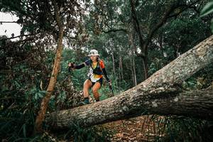 BIB: 
                            <button type="button" onclick="openModal(25547015)" class="btn btn-primary btn-sm float-right btn-popup" data-toggle="modal" data-target=".modal-high-quality">
                        <i class="fas fa-shopping-cart"></i> Add to Cart
                    </button>
                                            <button type="button" onclick="isThisMe(25547015, true)" class="btn btn-success btn-sm float-right btn-popup btn-isme hidden" data-toggle="tooltip" data-placement="bottom" title="นี่คือรูปของคุณใช่ไหม คลิกที่นี่เพื่อเอาเข้าอัลบั้ม">
                        <i class="fas fa-plus"></i> Add to album
                    </button>
                    <button type="button" onclick="isThisMe(25547015, false)" class="btn btn-warning btn-sm float-right btn-popup btn-isnotme hidden">
                        <i class="fas fa-ban"></i> Remove from album
                    </button>