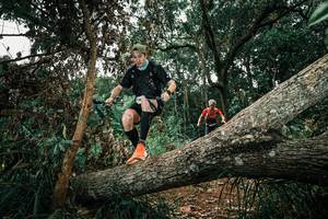 BIB: 
                            <button type="button" onclick="openModal(25550133)" class="btn btn-primary btn-sm float-right btn-popup" data-toggle="modal" data-target=".modal-high-quality">
                        <i class="fas fa-shopping-cart"></i> Add to Cart
                    </button>
                                            <button type="button" onclick="isThisMe(25550133, true)" class="btn btn-success btn-sm float-right btn-popup btn-isme hidden" data-toggle="tooltip" data-placement="bottom" title="นี่คือรูปของคุณใช่ไหม คลิกที่นี่เพื่อเอาเข้าอัลบั้ม">
                        <i class="fas fa-plus"></i> Add to album
                    </button>
                    <button type="button" onclick="isThisMe(25550133, false)" class="btn btn-warning btn-sm float-right btn-popup btn-isnotme hidden">
                        <i class="fas fa-ban"></i> Remove from album
                    </button>