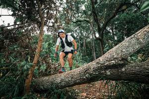 BIB: 
                            <button type="button" onclick="openModal(25546267)" class="btn btn-primary btn-sm float-right btn-popup" data-toggle="modal" data-target=".modal-high-quality">
                        <i class="fas fa-shopping-cart"></i> Add to Cart
                    </button>
                                            <button type="button" onclick="isThisMe(25546267, true)" class="btn btn-success btn-sm float-right btn-popup btn-isme hidden" data-toggle="tooltip" data-placement="bottom" title="นี่คือรูปของคุณใช่ไหม คลิกที่นี่เพื่อเอาเข้าอัลบั้ม">
                        <i class="fas fa-plus"></i> Add to album
                    </button>
                    <button type="button" onclick="isThisMe(25546267, false)" class="btn btn-warning btn-sm float-right btn-popup btn-isnotme hidden">
                        <i class="fas fa-ban"></i> Remove from album
                    </button>