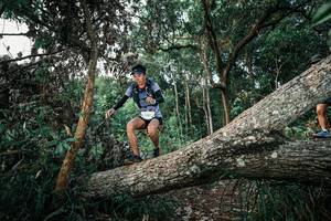 BIB: 
                            <button type="button" onclick="openModal(25526932)" class="btn btn-primary btn-sm float-right btn-popup" data-toggle="modal" data-target=".modal-high-quality">
                        <i class="fas fa-shopping-cart"></i> Add to Cart
                    </button>
                                            <button type="button" onclick="isThisMe(25526932, true)" class="btn btn-success btn-sm float-right btn-popup btn-isme hidden" data-toggle="tooltip" data-placement="bottom" title="นี่คือรูปของคุณใช่ไหม คลิกที่นี่เพื่อเอาเข้าอัลบั้ม">
                        <i class="fas fa-plus"></i> Add to album
                    </button>
                    <button type="button" onclick="isThisMe(25526932, false)" class="btn btn-warning btn-sm float-right btn-popup btn-isnotme hidden">
                        <i class="fas fa-ban"></i> Remove from album
                    </button>