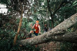 BIB: 
                            <button type="button" onclick="openModal(25535805)" class="btn btn-primary btn-sm float-right btn-popup" data-toggle="modal" data-target=".modal-high-quality">
                        <i class="fas fa-shopping-cart"></i> Add to Cart
                    </button>
                                            <button type="button" onclick="isThisMe(25535805, true)" class="btn btn-success btn-sm float-right btn-popup btn-isme hidden" data-toggle="tooltip" data-placement="bottom" title="นี่คือรูปของคุณใช่ไหม คลิกที่นี่เพื่อเอาเข้าอัลบั้ม">
                        <i class="fas fa-plus"></i> Add to album
                    </button>
                    <button type="button" onclick="isThisMe(25535805, false)" class="btn btn-warning btn-sm float-right btn-popup btn-isnotme hidden">
                        <i class="fas fa-ban"></i> Remove from album
                    </button>