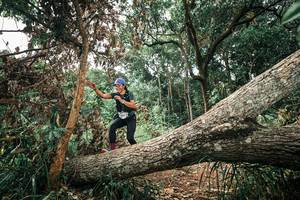 BIB: 
                            <button type="button" onclick="openModal(25547419)" class="btn btn-primary btn-sm float-right btn-popup" data-toggle="modal" data-target=".modal-high-quality">
                        <i class="fas fa-shopping-cart"></i> Add to Cart
                    </button>
                                            <button type="button" onclick="isThisMe(25547419, true)" class="btn btn-success btn-sm float-right btn-popup btn-isme hidden" data-toggle="tooltip" data-placement="bottom" title="นี่คือรูปของคุณใช่ไหม คลิกที่นี่เพื่อเอาเข้าอัลบั้ม">
                        <i class="fas fa-plus"></i> Add to album
                    </button>
                    <button type="button" onclick="isThisMe(25547419, false)" class="btn btn-warning btn-sm float-right btn-popup btn-isnotme hidden">
                        <i class="fas fa-ban"></i> Remove from album
                    </button>