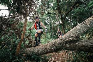 BIB: 
                            <button type="button" onclick="openModal(25529900)" class="btn btn-primary btn-sm float-right btn-popup" data-toggle="modal" data-target=".modal-high-quality">
                        <i class="fas fa-shopping-cart"></i> Add to Cart
                    </button>
                                            <button type="button" onclick="isThisMe(25529900, true)" class="btn btn-success btn-sm float-right btn-popup btn-isme hidden" data-toggle="tooltip" data-placement="bottom" title="นี่คือรูปของคุณใช่ไหม คลิกที่นี่เพื่อเอาเข้าอัลบั้ม">
                        <i class="fas fa-plus"></i> Add to album
                    </button>
                    <button type="button" onclick="isThisMe(25529900, false)" class="btn btn-warning btn-sm float-right btn-popup btn-isnotme hidden">
                        <i class="fas fa-ban"></i> Remove from album
                    </button>