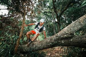 BIB: 
                            <button type="button" onclick="openModal(25549186)" class="btn btn-primary btn-sm float-right btn-popup" data-toggle="modal" data-target=".modal-high-quality">
                        <i class="fas fa-shopping-cart"></i> Add to Cart
                    </button>
                                            <button type="button" onclick="isThisMe(25549186, true)" class="btn btn-success btn-sm float-right btn-popup btn-isme hidden" data-toggle="tooltip" data-placement="bottom" title="นี่คือรูปของคุณใช่ไหม คลิกที่นี่เพื่อเอาเข้าอัลบั้ม">
                        <i class="fas fa-plus"></i> Add to album
                    </button>
                    <button type="button" onclick="isThisMe(25549186, false)" class="btn btn-warning btn-sm float-right btn-popup btn-isnotme hidden">
                        <i class="fas fa-ban"></i> Remove from album
                    </button>