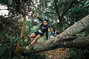 BIB: 
                            <button type="button" onclick="openModal(25549936)" class="btn btn-primary btn-sm float-right btn-popup" data-toggle="modal" data-target=".modal-high-quality">
                        <i class="fas fa-shopping-cart"></i> Add to Cart
                    </button>
                                            <button type="button" onclick="isThisMe(25549936, true)" class="btn btn-success btn-sm float-right btn-popup btn-isme hidden" data-toggle="tooltip" data-placement="bottom" title="นี่คือรูปของคุณใช่ไหม คลิกที่นี่เพื่อเอาเข้าอัลบั้ม">
                        <i class="fas fa-plus"></i> Add to album
                    </button>
                    <button type="button" onclick="isThisMe(25549936, false)" class="btn btn-warning btn-sm float-right btn-popup btn-isnotme hidden">
                        <i class="fas fa-ban"></i> Remove from album
                    </button>