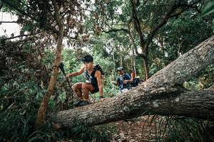 BIB: 
                            <button type="button" onclick="openModal(25532926)" class="btn btn-primary btn-sm float-right btn-popup" data-toggle="modal" data-target=".modal-high-quality">
                        <i class="fas fa-shopping-cart"></i> Add to Cart
                    </button>
                                            <button type="button" onclick="isThisMe(25532926, true)" class="btn btn-success btn-sm float-right btn-popup btn-isme hidden" data-toggle="tooltip" data-placement="bottom" title="นี่คือรูปของคุณใช่ไหม คลิกที่นี่เพื่อเอาเข้าอัลบั้ม">
                        <i class="fas fa-plus"></i> Add to album
                    </button>
                    <button type="button" onclick="isThisMe(25532926, false)" class="btn btn-warning btn-sm float-right btn-popup btn-isnotme hidden">
                        <i class="fas fa-ban"></i> Remove from album
                    </button>