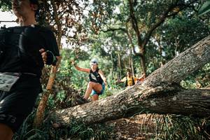 BIB: 
                            <button type="button" onclick="openModal(25535086)" class="btn btn-primary btn-sm float-right btn-popup" data-toggle="modal" data-target=".modal-high-quality">
                        <i class="fas fa-shopping-cart"></i> Add to Cart
                    </button>
                                            <button type="button" onclick="isThisMe(25535086, true)" class="btn btn-success btn-sm float-right btn-popup btn-isme hidden" data-toggle="tooltip" data-placement="bottom" title="นี่คือรูปของคุณใช่ไหม คลิกที่นี่เพื่อเอาเข้าอัลบั้ม">
                        <i class="fas fa-plus"></i> Add to album
                    </button>
                    <button type="button" onclick="isThisMe(25535086, false)" class="btn btn-warning btn-sm float-right btn-popup btn-isnotme hidden">
                        <i class="fas fa-ban"></i> Remove from album
                    </button>