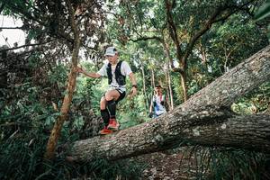 BIB: 
                            <button type="button" onclick="openModal(25527816)" class="btn btn-primary btn-sm float-right btn-popup" data-toggle="modal" data-target=".modal-high-quality">
                        <i class="fas fa-shopping-cart"></i> Add to Cart
                    </button>
                                            <button type="button" onclick="isThisMe(25527816, true)" class="btn btn-success btn-sm float-right btn-popup btn-isme hidden" data-toggle="tooltip" data-placement="bottom" title="นี่คือรูปของคุณใช่ไหม คลิกที่นี่เพื่อเอาเข้าอัลบั้ม">
                        <i class="fas fa-plus"></i> Add to album
                    </button>
                    <button type="button" onclick="isThisMe(25527816, false)" class="btn btn-warning btn-sm float-right btn-popup btn-isnotme hidden">
                        <i class="fas fa-ban"></i> Remove from album
                    </button>