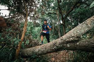 BIB: 
                            <button type="button" onclick="openModal(25544166)" class="btn btn-primary btn-sm float-right btn-popup" data-toggle="modal" data-target=".modal-high-quality">
                        <i class="fas fa-shopping-cart"></i> Add to Cart
                    </button>
                                            <button type="button" onclick="isThisMe(25544166, true)" class="btn btn-success btn-sm float-right btn-popup btn-isme hidden" data-toggle="tooltip" data-placement="bottom" title="นี่คือรูปของคุณใช่ไหม คลิกที่นี่เพื่อเอาเข้าอัลบั้ม">
                        <i class="fas fa-plus"></i> Add to album
                    </button>
                    <button type="button" onclick="isThisMe(25544166, false)" class="btn btn-warning btn-sm float-right btn-popup btn-isnotme hidden">
                        <i class="fas fa-ban"></i> Remove from album
                    </button>