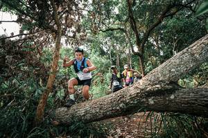 BIB: 
                            <button type="button" onclick="openModal(25533455)" class="btn btn-primary btn-sm float-right btn-popup" data-toggle="modal" data-target=".modal-high-quality">
                        <i class="fas fa-shopping-cart"></i> Add to Cart
                    </button>
                                            <button type="button" onclick="isThisMe(25533455, true)" class="btn btn-success btn-sm float-right btn-popup btn-isme hidden" data-toggle="tooltip" data-placement="bottom" title="นี่คือรูปของคุณใช่ไหม คลิกที่นี่เพื่อเอาเข้าอัลบั้ม">
                        <i class="fas fa-plus"></i> Add to album
                    </button>
                    <button type="button" onclick="isThisMe(25533455, false)" class="btn btn-warning btn-sm float-right btn-popup btn-isnotme hidden">
                        <i class="fas fa-ban"></i> Remove from album
                    </button>