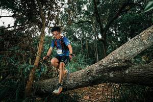 BIB: 
                            <button type="button" onclick="openModal(25550304)" class="btn btn-primary btn-sm float-right btn-popup" data-toggle="modal" data-target=".modal-high-quality">
                        <i class="fas fa-shopping-cart"></i> Add to Cart
                    </button>
                                            <button type="button" onclick="isThisMe(25550304, true)" class="btn btn-success btn-sm float-right btn-popup btn-isme hidden" data-toggle="tooltip" data-placement="bottom" title="นี่คือรูปของคุณใช่ไหม คลิกที่นี่เพื่อเอาเข้าอัลบั้ม">
                        <i class="fas fa-plus"></i> Add to album
                    </button>
                    <button type="button" onclick="isThisMe(25550304, false)" class="btn btn-warning btn-sm float-right btn-popup btn-isnotme hidden">
                        <i class="fas fa-ban"></i> Remove from album
                    </button>