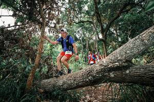 BIB: 
                            <button type="button" onclick="openModal(25532543)" class="btn btn-primary btn-sm float-right btn-popup" data-toggle="modal" data-target=".modal-high-quality">
                        <i class="fas fa-shopping-cart"></i> Add to Cart
                    </button>
                                            <button type="button" onclick="isThisMe(25532543, true)" class="btn btn-success btn-sm float-right btn-popup btn-isme hidden" data-toggle="tooltip" data-placement="bottom" title="นี่คือรูปของคุณใช่ไหม คลิกที่นี่เพื่อเอาเข้าอัลบั้ม">
                        <i class="fas fa-plus"></i> Add to album
                    </button>
                    <button type="button" onclick="isThisMe(25532543, false)" class="btn btn-warning btn-sm float-right btn-popup btn-isnotme hidden">
                        <i class="fas fa-ban"></i> Remove from album
                    </button>