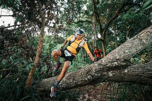 BIB: 
                            <button type="button" onclick="openModal(25526644)" class="btn btn-primary btn-sm float-right btn-popup" data-toggle="modal" data-target=".modal-high-quality">
                        <i class="fas fa-shopping-cart"></i> Add to Cart
                    </button>
                                            <button type="button" onclick="isThisMe(25526644, true)" class="btn btn-success btn-sm float-right btn-popup btn-isme hidden" data-toggle="tooltip" data-placement="bottom" title="นี่คือรูปของคุณใช่ไหม คลิกที่นี่เพื่อเอาเข้าอัลบั้ม">
                        <i class="fas fa-plus"></i> Add to album
                    </button>
                    <button type="button" onclick="isThisMe(25526644, false)" class="btn btn-warning btn-sm float-right btn-popup btn-isnotme hidden">
                        <i class="fas fa-ban"></i> Remove from album
                    </button>