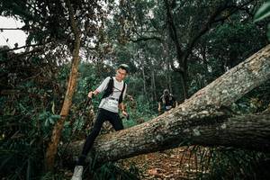 BIB: 
                            <button type="button" onclick="openModal(25550791)" class="btn btn-primary btn-sm float-right btn-popup" data-toggle="modal" data-target=".modal-high-quality">
                        <i class="fas fa-shopping-cart"></i> Add to Cart
                    </button>
                                            <button type="button" onclick="isThisMe(25550791, true)" class="btn btn-success btn-sm float-right btn-popup btn-isme hidden" data-toggle="tooltip" data-placement="bottom" title="นี่คือรูปของคุณใช่ไหม คลิกที่นี่เพื่อเอาเข้าอัลบั้ม">
                        <i class="fas fa-plus"></i> Add to album
                    </button>
                    <button type="button" onclick="isThisMe(25550791, false)" class="btn btn-warning btn-sm float-right btn-popup btn-isnotme hidden">
                        <i class="fas fa-ban"></i> Remove from album
                    </button>