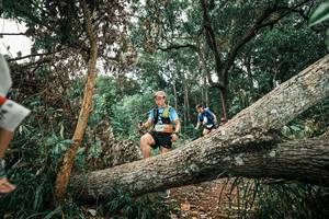 BIB: 
                            <button type="button" onclick="openModal(25541364)" class="btn btn-primary btn-sm float-right btn-popup" data-toggle="modal" data-target=".modal-high-quality">
                        <i class="fas fa-shopping-cart"></i> Add to Cart
                    </button>
                                            <button type="button" onclick="isThisMe(25541364, true)" class="btn btn-success btn-sm float-right btn-popup btn-isme hidden" data-toggle="tooltip" data-placement="bottom" title="นี่คือรูปของคุณใช่ไหม คลิกที่นี่เพื่อเอาเข้าอัลบั้ม">
                        <i class="fas fa-plus"></i> Add to album
                    </button>
                    <button type="button" onclick="isThisMe(25541364, false)" class="btn btn-warning btn-sm float-right btn-popup btn-isnotme hidden">
                        <i class="fas fa-ban"></i> Remove from album
                    </button>