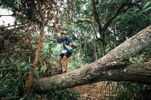 BIB: 
                            <button type="button" onclick="openModal(25546585)" class="btn btn-primary btn-sm float-right btn-popup" data-toggle="modal" data-target=".modal-high-quality">
                        <i class="fas fa-shopping-cart"></i> Add to Cart
                    </button>
                                            <button type="button" onclick="isThisMe(25546585, true)" class="btn btn-success btn-sm float-right btn-popup btn-isme hidden" data-toggle="tooltip" data-placement="bottom" title="นี่คือรูปของคุณใช่ไหม คลิกที่นี่เพื่อเอาเข้าอัลบั้ม">
                        <i class="fas fa-plus"></i> Add to album
                    </button>
                    <button type="button" onclick="isThisMe(25546585, false)" class="btn btn-warning btn-sm float-right btn-popup btn-isnotme hidden">
                        <i class="fas fa-ban"></i> Remove from album
                    </button>