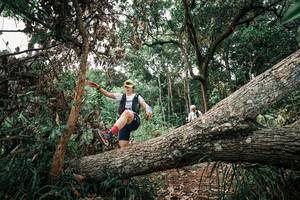 BIB: 
                            <button type="button" onclick="openModal(25531242)" class="btn btn-primary btn-sm float-right btn-popup" data-toggle="modal" data-target=".modal-high-quality">
                        <i class="fas fa-shopping-cart"></i> Add to Cart
                    </button>
                                            <button type="button" onclick="isThisMe(25531242, true)" class="btn btn-success btn-sm float-right btn-popup btn-isme hidden" data-toggle="tooltip" data-placement="bottom" title="นี่คือรูปของคุณใช่ไหม คลิกที่นี่เพื่อเอาเข้าอัลบั้ม">
                        <i class="fas fa-plus"></i> Add to album
                    </button>
                    <button type="button" onclick="isThisMe(25531242, false)" class="btn btn-warning btn-sm float-right btn-popup btn-isnotme hidden">
                        <i class="fas fa-ban"></i> Remove from album
                    </button>