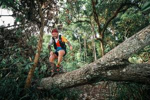 BIB: 
                            <button type="button" onclick="openModal(25527764)" class="btn btn-primary btn-sm float-right btn-popup" data-toggle="modal" data-target=".modal-high-quality">
                        <i class="fas fa-shopping-cart"></i> Add to Cart
                    </button>
                                            <button type="button" onclick="isThisMe(25527764, true)" class="btn btn-success btn-sm float-right btn-popup btn-isme hidden" data-toggle="tooltip" data-placement="bottom" title="นี่คือรูปของคุณใช่ไหม คลิกที่นี่เพื่อเอาเข้าอัลบั้ม">
                        <i class="fas fa-plus"></i> Add to album
                    </button>
                    <button type="button" onclick="isThisMe(25527764, false)" class="btn btn-warning btn-sm float-right btn-popup btn-isnotme hidden">
                        <i class="fas fa-ban"></i> Remove from album
                    </button>