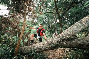 BIB: 
                            <button type="button" onclick="openModal(25543346)" class="btn btn-primary btn-sm float-right btn-popup" data-toggle="modal" data-target=".modal-high-quality">
                        <i class="fas fa-shopping-cart"></i> Add to Cart
                    </button>
                                            <button type="button" onclick="isThisMe(25543346, true)" class="btn btn-success btn-sm float-right btn-popup btn-isme hidden" data-toggle="tooltip" data-placement="bottom" title="นี่คือรูปของคุณใช่ไหม คลิกที่นี่เพื่อเอาเข้าอัลบั้ม">
                        <i class="fas fa-plus"></i> Add to album
                    </button>
                    <button type="button" onclick="isThisMe(25543346, false)" class="btn btn-warning btn-sm float-right btn-popup btn-isnotme hidden">
                        <i class="fas fa-ban"></i> Remove from album
                    </button>