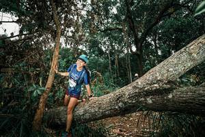 BIB: 
                            <button type="button" onclick="openModal(25552144)" class="btn btn-primary btn-sm float-right btn-popup" data-toggle="modal" data-target=".modal-high-quality">
                        <i class="fas fa-shopping-cart"></i> Add to Cart
                    </button>
                                            <button type="button" onclick="isThisMe(25552144, true)" class="btn btn-success btn-sm float-right btn-popup btn-isme hidden" data-toggle="tooltip" data-placement="bottom" title="นี่คือรูปของคุณใช่ไหม คลิกที่นี่เพื่อเอาเข้าอัลบั้ม">
                        <i class="fas fa-plus"></i> Add to album
                    </button>
                    <button type="button" onclick="isThisMe(25552144, false)" class="btn btn-warning btn-sm float-right btn-popup btn-isnotme hidden">
                        <i class="fas fa-ban"></i> Remove from album
                    </button>