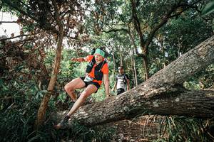 BIB: 
                            <button type="button" onclick="openModal(25535173)" class="btn btn-primary btn-sm float-right btn-popup" data-toggle="modal" data-target=".modal-high-quality">
                        <i class="fas fa-shopping-cart"></i> Add to Cart
                    </button>
                                            <button type="button" onclick="isThisMe(25535173, true)" class="btn btn-success btn-sm float-right btn-popup btn-isme hidden" data-toggle="tooltip" data-placement="bottom" title="นี่คือรูปของคุณใช่ไหม คลิกที่นี่เพื่อเอาเข้าอัลบั้ม">
                        <i class="fas fa-plus"></i> Add to album
                    </button>
                    <button type="button" onclick="isThisMe(25535173, false)" class="btn btn-warning btn-sm float-right btn-popup btn-isnotme hidden">
                        <i class="fas fa-ban"></i> Remove from album
                    </button>