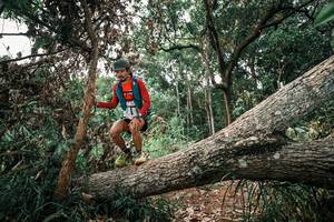 BIB: 
                            <button type="button" onclick="openModal(25530164)" class="btn btn-primary btn-sm float-right btn-popup" data-toggle="modal" data-target=".modal-high-quality">
                        <i class="fas fa-shopping-cart"></i> Add to Cart
                    </button>
                                            <button type="button" onclick="isThisMe(25530164, true)" class="btn btn-success btn-sm float-right btn-popup btn-isme hidden" data-toggle="tooltip" data-placement="bottom" title="นี่คือรูปของคุณใช่ไหม คลิกที่นี่เพื่อเอาเข้าอัลบั้ม">
                        <i class="fas fa-plus"></i> Add to album
                    </button>
                    <button type="button" onclick="isThisMe(25530164, false)" class="btn btn-warning btn-sm float-right btn-popup btn-isnotme hidden">
                        <i class="fas fa-ban"></i> Remove from album
                    </button>