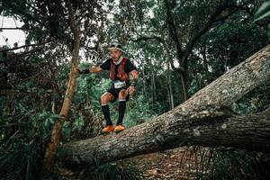 BIB: 
                            <button type="button" onclick="openModal(25551415)" class="btn btn-primary btn-sm float-right btn-popup" data-toggle="modal" data-target=".modal-high-quality">
                        <i class="fas fa-shopping-cart"></i> Add to Cart
                    </button>
                                            <button type="button" onclick="isThisMe(25551415, true)" class="btn btn-success btn-sm float-right btn-popup btn-isme hidden" data-toggle="tooltip" data-placement="bottom" title="นี่คือรูปของคุณใช่ไหม คลิกที่นี่เพื่อเอาเข้าอัลบั้ม">
                        <i class="fas fa-plus"></i> Add to album
                    </button>
                    <button type="button" onclick="isThisMe(25551415, false)" class="btn btn-warning btn-sm float-right btn-popup btn-isnotme hidden">
                        <i class="fas fa-ban"></i> Remove from album
                    </button>