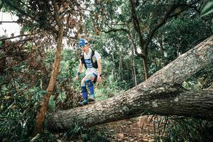 BIB: 
                            <button type="button" onclick="openModal(25543664)" class="btn btn-primary btn-sm float-right btn-popup" data-toggle="modal" data-target=".modal-high-quality">
                        <i class="fas fa-shopping-cart"></i> Add to Cart
                    </button>
                                            <button type="button" onclick="isThisMe(25543664, true)" class="btn btn-success btn-sm float-right btn-popup btn-isme hidden" data-toggle="tooltip" data-placement="bottom" title="นี่คือรูปของคุณใช่ไหม คลิกที่นี่เพื่อเอาเข้าอัลบั้ม">
                        <i class="fas fa-plus"></i> Add to album
                    </button>
                    <button type="button" onclick="isThisMe(25543664, false)" class="btn btn-warning btn-sm float-right btn-popup btn-isnotme hidden">
                        <i class="fas fa-ban"></i> Remove from album
                    </button>