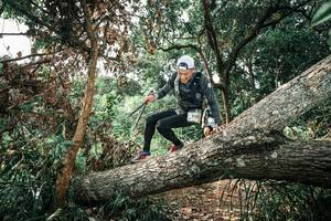 BIB: 
                            <button type="button" onclick="openModal(25543692)" class="btn btn-primary btn-sm float-right btn-popup" data-toggle="modal" data-target=".modal-high-quality">
                        <i class="fas fa-shopping-cart"></i> Add to Cart
                    </button>
                                            <button type="button" onclick="isThisMe(25543692, true)" class="btn btn-success btn-sm float-right btn-popup btn-isme hidden" data-toggle="tooltip" data-placement="bottom" title="นี่คือรูปของคุณใช่ไหม คลิกที่นี่เพื่อเอาเข้าอัลบั้ม">
                        <i class="fas fa-plus"></i> Add to album
                    </button>
                    <button type="button" onclick="isThisMe(25543692, false)" class="btn btn-warning btn-sm float-right btn-popup btn-isnotme hidden">
                        <i class="fas fa-ban"></i> Remove from album
                    </button>