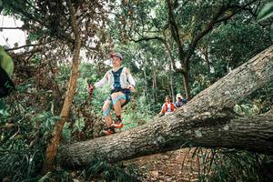 BIB: 
                            <button type="button" onclick="openModal(25543524)" class="btn btn-primary btn-sm float-right btn-popup" data-toggle="modal" data-target=".modal-high-quality">
                        <i class="fas fa-shopping-cart"></i> Add to Cart
                    </button>
                                            <button type="button" onclick="isThisMe(25543524, true)" class="btn btn-success btn-sm float-right btn-popup btn-isme hidden" data-toggle="tooltip" data-placement="bottom" title="นี่คือรูปของคุณใช่ไหม คลิกที่นี่เพื่อเอาเข้าอัลบั้ม">
                        <i class="fas fa-plus"></i> Add to album
                    </button>
                    <button type="button" onclick="isThisMe(25543524, false)" class="btn btn-warning btn-sm float-right btn-popup btn-isnotme hidden">
                        <i class="fas fa-ban"></i> Remove from album
                    </button>