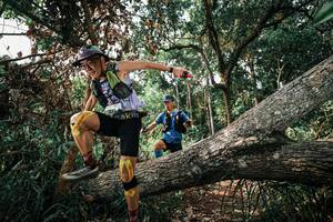 BIB: 
                            <button type="button" onclick="openModal(25534224)" class="btn btn-primary btn-sm float-right btn-popup" data-toggle="modal" data-target=".modal-high-quality">
                        <i class="fas fa-shopping-cart"></i> Add to Cart
                    </button>
                                            <button type="button" onclick="isThisMe(25534224, true)" class="btn btn-success btn-sm float-right btn-popup btn-isme hidden" data-toggle="tooltip" data-placement="bottom" title="นี่คือรูปของคุณใช่ไหม คลิกที่นี่เพื่อเอาเข้าอัลบั้ม">
                        <i class="fas fa-plus"></i> Add to album
                    </button>
                    <button type="button" onclick="isThisMe(25534224, false)" class="btn btn-warning btn-sm float-right btn-popup btn-isnotme hidden">
                        <i class="fas fa-ban"></i> Remove from album
                    </button>