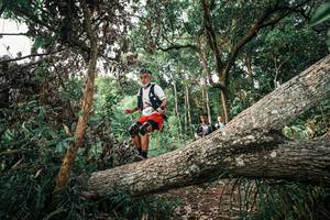 BIB: 
                            <button type="button" onclick="openModal(25527382)" class="btn btn-primary btn-sm float-right btn-popup" data-toggle="modal" data-target=".modal-high-quality">
                        <i class="fas fa-shopping-cart"></i> Add to Cart
                    </button>
                                            <button type="button" onclick="isThisMe(25527382, true)" class="btn btn-success btn-sm float-right btn-popup btn-isme hidden" data-toggle="tooltip" data-placement="bottom" title="นี่คือรูปของคุณใช่ไหม คลิกที่นี่เพื่อเอาเข้าอัลบั้ม">
                        <i class="fas fa-plus"></i> Add to album
                    </button>
                    <button type="button" onclick="isThisMe(25527382, false)" class="btn btn-warning btn-sm float-right btn-popup btn-isnotme hidden">
                        <i class="fas fa-ban"></i> Remove from album
                    </button>