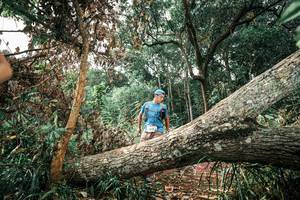 BIB: 
                            <button type="button" onclick="openModal(25540878)" class="btn btn-primary btn-sm float-right btn-popup" data-toggle="modal" data-target=".modal-high-quality">
                        <i class="fas fa-shopping-cart"></i> Add to Cart
                    </button>
                                            <button type="button" onclick="isThisMe(25540878, true)" class="btn btn-success btn-sm float-right btn-popup btn-isme hidden" data-toggle="tooltip" data-placement="bottom" title="นี่คือรูปของคุณใช่ไหม คลิกที่นี่เพื่อเอาเข้าอัลบั้ม">
                        <i class="fas fa-plus"></i> Add to album
                    </button>
                    <button type="button" onclick="isThisMe(25540878, false)" class="btn btn-warning btn-sm float-right btn-popup btn-isnotme hidden">
                        <i class="fas fa-ban"></i> Remove from album
                    </button>