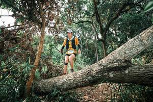 BIB: 
                            <button type="button" onclick="openModal(25543753)" class="btn btn-primary btn-sm float-right btn-popup" data-toggle="modal" data-target=".modal-high-quality">
                        <i class="fas fa-shopping-cart"></i> Add to Cart
                    </button>
                                            <button type="button" onclick="isThisMe(25543753, true)" class="btn btn-success btn-sm float-right btn-popup btn-isme hidden" data-toggle="tooltip" data-placement="bottom" title="นี่คือรูปของคุณใช่ไหม คลิกที่นี่เพื่อเอาเข้าอัลบั้ม">
                        <i class="fas fa-plus"></i> Add to album
                    </button>
                    <button type="button" onclick="isThisMe(25543753, false)" class="btn btn-warning btn-sm float-right btn-popup btn-isnotme hidden">
                        <i class="fas fa-ban"></i> Remove from album
                    </button>