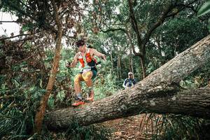 BIB: 
                            <button type="button" onclick="openModal(25546547)" class="btn btn-primary btn-sm float-right btn-popup" data-toggle="modal" data-target=".modal-high-quality">
                        <i class="fas fa-shopping-cart"></i> Add to Cart
                    </button>
                                            <button type="button" onclick="isThisMe(25546547, true)" class="btn btn-success btn-sm float-right btn-popup btn-isme hidden" data-toggle="tooltip" data-placement="bottom" title="นี่คือรูปของคุณใช่ไหม คลิกที่นี่เพื่อเอาเข้าอัลบั้ม">
                        <i class="fas fa-plus"></i> Add to album
                    </button>
                    <button type="button" onclick="isThisMe(25546547, false)" class="btn btn-warning btn-sm float-right btn-popup btn-isnotme hidden">
                        <i class="fas fa-ban"></i> Remove from album
                    </button>