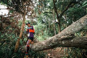 BIB: 
                            <button type="button" onclick="openModal(25537276)" class="btn btn-primary btn-sm float-right btn-popup" data-toggle="modal" data-target=".modal-high-quality">
                        <i class="fas fa-shopping-cart"></i> Add to Cart
                    </button>
                                            <button type="button" onclick="isThisMe(25537276, true)" class="btn btn-success btn-sm float-right btn-popup btn-isme hidden" data-toggle="tooltip" data-placement="bottom" title="นี่คือรูปของคุณใช่ไหม คลิกที่นี่เพื่อเอาเข้าอัลบั้ม">
                        <i class="fas fa-plus"></i> Add to album
                    </button>
                    <button type="button" onclick="isThisMe(25537276, false)" class="btn btn-warning btn-sm float-right btn-popup btn-isnotme hidden">
                        <i class="fas fa-ban"></i> Remove from album
                    </button>