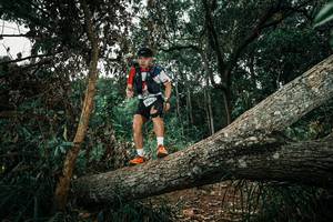 BIB: 
                            <button type="button" onclick="openModal(25550449)" class="btn btn-primary btn-sm float-right btn-popup" data-toggle="modal" data-target=".modal-high-quality">
                        <i class="fas fa-shopping-cart"></i> Add to Cart
                    </button>
                                            <button type="button" onclick="isThisMe(25550449, true)" class="btn btn-success btn-sm float-right btn-popup btn-isme hidden" data-toggle="tooltip" data-placement="bottom" title="นี่คือรูปของคุณใช่ไหม คลิกที่นี่เพื่อเอาเข้าอัลบั้ม">
                        <i class="fas fa-plus"></i> Add to album
                    </button>
                    <button type="button" onclick="isThisMe(25550449, false)" class="btn btn-warning btn-sm float-right btn-popup btn-isnotme hidden">
                        <i class="fas fa-ban"></i> Remove from album
                    </button>