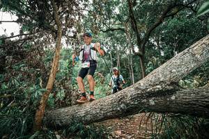 BIB: 
                            <button type="button" onclick="openModal(25543202)" class="btn btn-primary btn-sm float-right btn-popup" data-toggle="modal" data-target=".modal-high-quality">
                        <i class="fas fa-shopping-cart"></i> Add to Cart
                    </button>
                                            <button type="button" onclick="isThisMe(25543202, true)" class="btn btn-success btn-sm float-right btn-popup btn-isme hidden" data-toggle="tooltip" data-placement="bottom" title="นี่คือรูปของคุณใช่ไหม คลิกที่นี่เพื่อเอาเข้าอัลบั้ม">
                        <i class="fas fa-plus"></i> Add to album
                    </button>
                    <button type="button" onclick="isThisMe(25543202, false)" class="btn btn-warning btn-sm float-right btn-popup btn-isnotme hidden">
                        <i class="fas fa-ban"></i> Remove from album
                    </button>