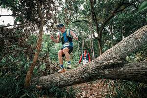 BIB: 
                            <button type="button" onclick="openModal(25530116)" class="btn btn-primary btn-sm float-right btn-popup" data-toggle="modal" data-target=".modal-high-quality">
                        <i class="fas fa-shopping-cart"></i> Add to Cart
                    </button>
                                            <button type="button" onclick="isThisMe(25530116, true)" class="btn btn-success btn-sm float-right btn-popup btn-isme hidden" data-toggle="tooltip" data-placement="bottom" title="นี่คือรูปของคุณใช่ไหม คลิกที่นี่เพื่อเอาเข้าอัลบั้ม">
                        <i class="fas fa-plus"></i> Add to album
                    </button>
                    <button type="button" onclick="isThisMe(25530116, false)" class="btn btn-warning btn-sm float-right btn-popup btn-isnotme hidden">
                        <i class="fas fa-ban"></i> Remove from album
                    </button>