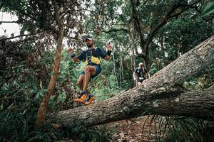 BIB: 
                            <button type="button" onclick="openModal(25531089)" class="btn btn-primary btn-sm float-right btn-popup" data-toggle="modal" data-target=".modal-high-quality">
                        <i class="fas fa-shopping-cart"></i> Add to Cart
                    </button>
                                            <button type="button" onclick="isThisMe(25531089, true)" class="btn btn-success btn-sm float-right btn-popup btn-isme hidden" data-toggle="tooltip" data-placement="bottom" title="นี่คือรูปของคุณใช่ไหม คลิกที่นี่เพื่อเอาเข้าอัลบั้ม">
                        <i class="fas fa-plus"></i> Add to album
                    </button>
                    <button type="button" onclick="isThisMe(25531089, false)" class="btn btn-warning btn-sm float-right btn-popup btn-isnotme hidden">
                        <i class="fas fa-ban"></i> Remove from album
                    </button>