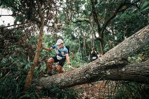 BIB: 
                            <button type="button" onclick="openModal(25531113)" class="btn btn-primary btn-sm float-right btn-popup" data-toggle="modal" data-target=".modal-high-quality">
                        <i class="fas fa-shopping-cart"></i> Add to Cart
                    </button>
                                            <button type="button" onclick="isThisMe(25531113, true)" class="btn btn-success btn-sm float-right btn-popup btn-isme hidden" data-toggle="tooltip" data-placement="bottom" title="นี่คือรูปของคุณใช่ไหม คลิกที่นี่เพื่อเอาเข้าอัลบั้ม">
                        <i class="fas fa-plus"></i> Add to album
                    </button>
                    <button type="button" onclick="isThisMe(25531113, false)" class="btn btn-warning btn-sm float-right btn-popup btn-isnotme hidden">
                        <i class="fas fa-ban"></i> Remove from album
                    </button>