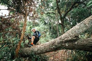 BIB: 
                            <button type="button" onclick="openModal(25545828)" class="btn btn-primary btn-sm float-right btn-popup" data-toggle="modal" data-target=".modal-high-quality">
                        <i class="fas fa-shopping-cart"></i> Add to Cart
                    </button>
                                            <button type="button" onclick="isThisMe(25545828, true)" class="btn btn-success btn-sm float-right btn-popup btn-isme hidden" data-toggle="tooltip" data-placement="bottom" title="นี่คือรูปของคุณใช่ไหม คลิกที่นี่เพื่อเอาเข้าอัลบั้ม">
                        <i class="fas fa-plus"></i> Add to album
                    </button>
                    <button type="button" onclick="isThisMe(25545828, false)" class="btn btn-warning btn-sm float-right btn-popup btn-isnotme hidden">
                        <i class="fas fa-ban"></i> Remove from album
                    </button>